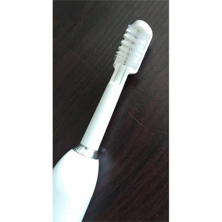 Rotary Toothbrush